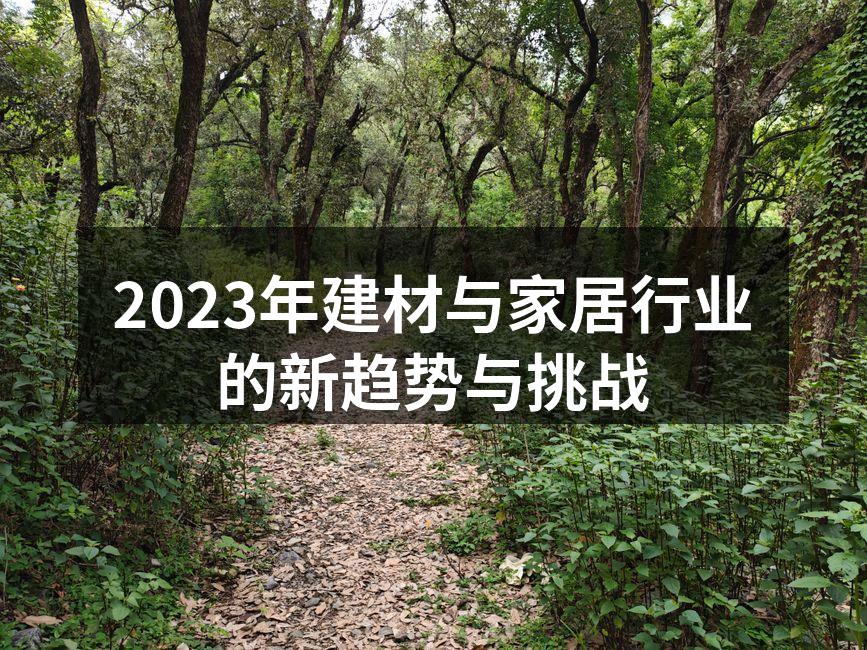 2023年建材与家居行业的新趋势与挑战